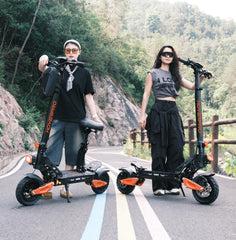 Hoverpro Q9 Max Offroad Foldable Electric Scooter